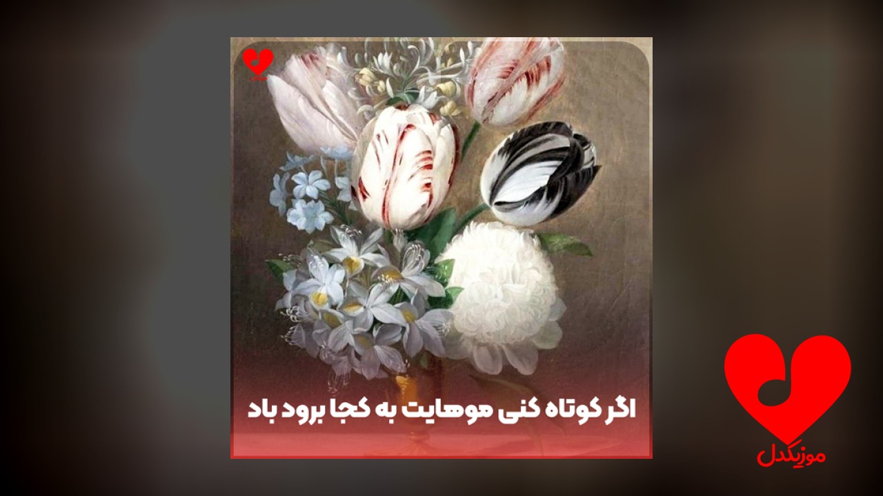 اگر کوتاه کنی موهایت
