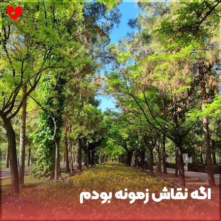 اگه نقاش زمونه بودم