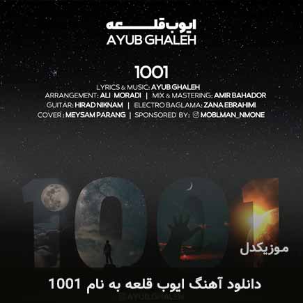 ایوب قلعه 1001