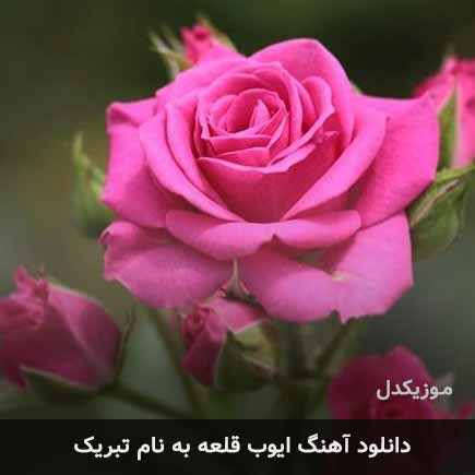 ایوب قلعه تبریک