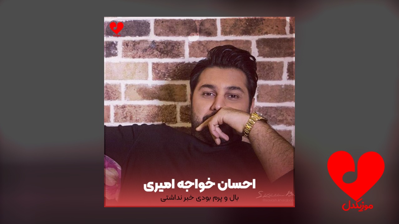 بال و پرم بودی
