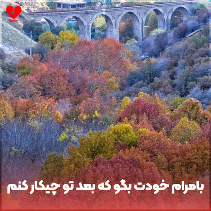 بامرام خودت بگو که