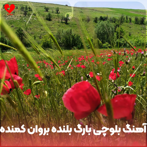 بلوچی بارگ بلنده بروان کمنده
