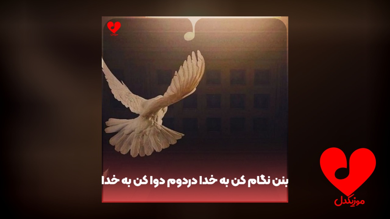 بنن نگام کن به