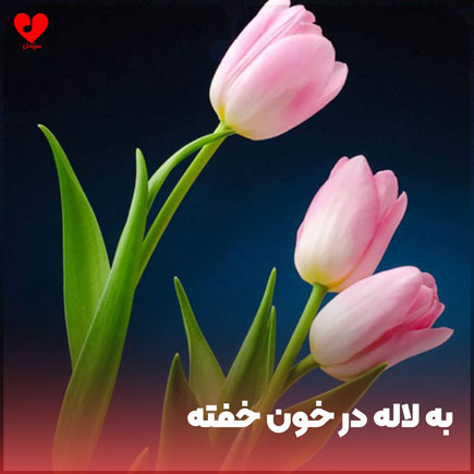 به لاله در خون خفته