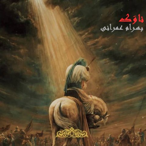 بهرام عمرانی ناوک