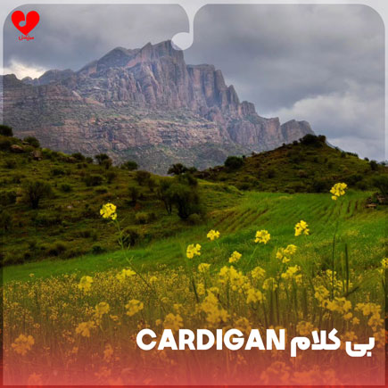 بی کلام cardigan با پیانو