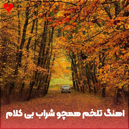 بی کلام آهنگ تلخم همچو شراب