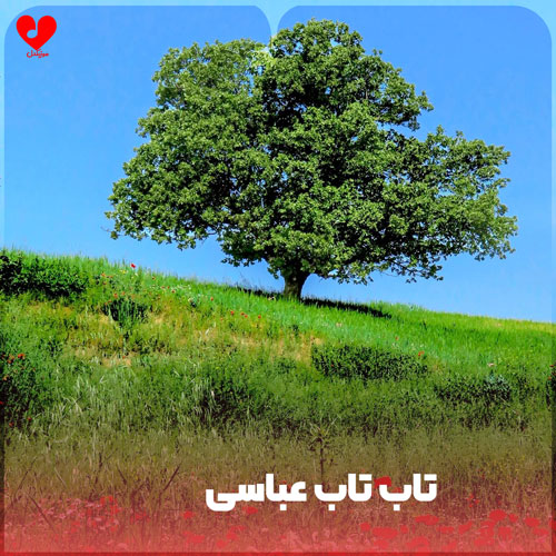تاب تاب عباسی