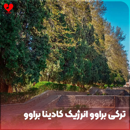 ترکی براوو انرژیک کادینا براوو