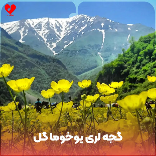 ترکی گجه لری یوخوما