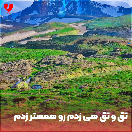تق تق هی زدم