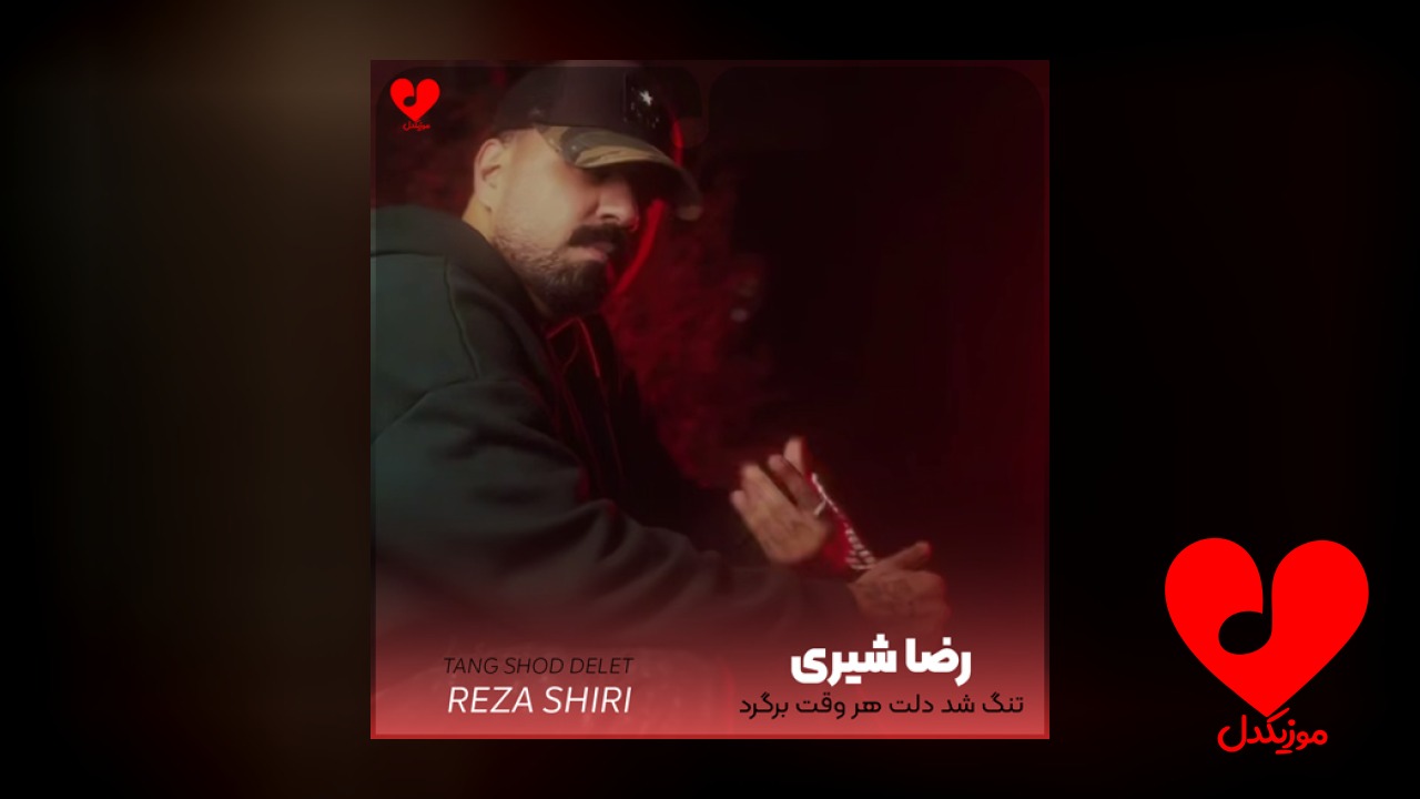تنگ شد دلت هروقت
