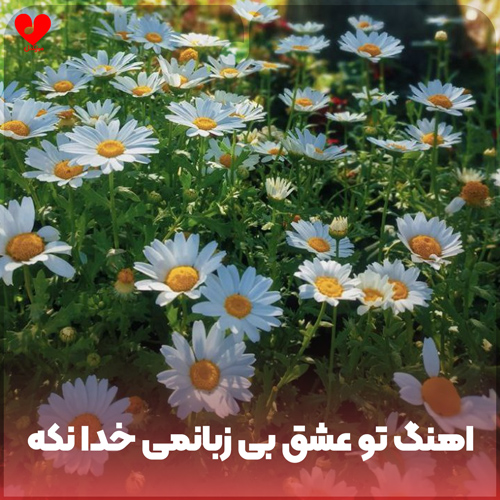 تو عشق بی زبانمی خدا نکه