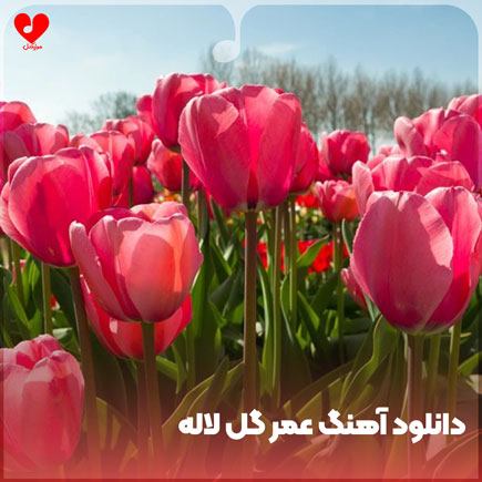 تیتراژ سریال عمر گل لاله