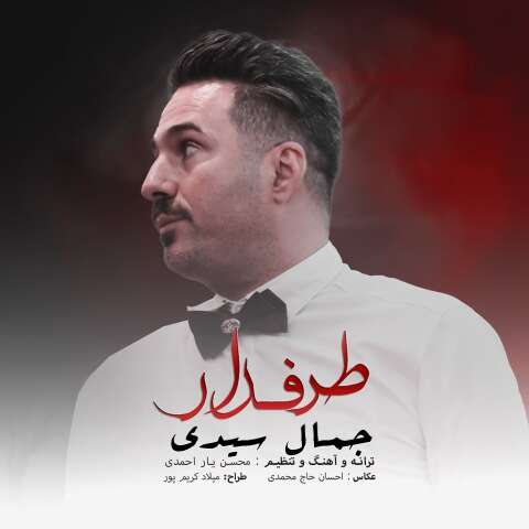 جمال سیدی طرفدار