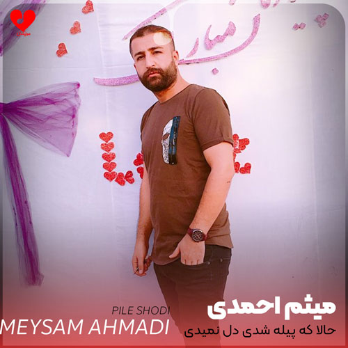 حالا که پیله شدی ول نمیدی
