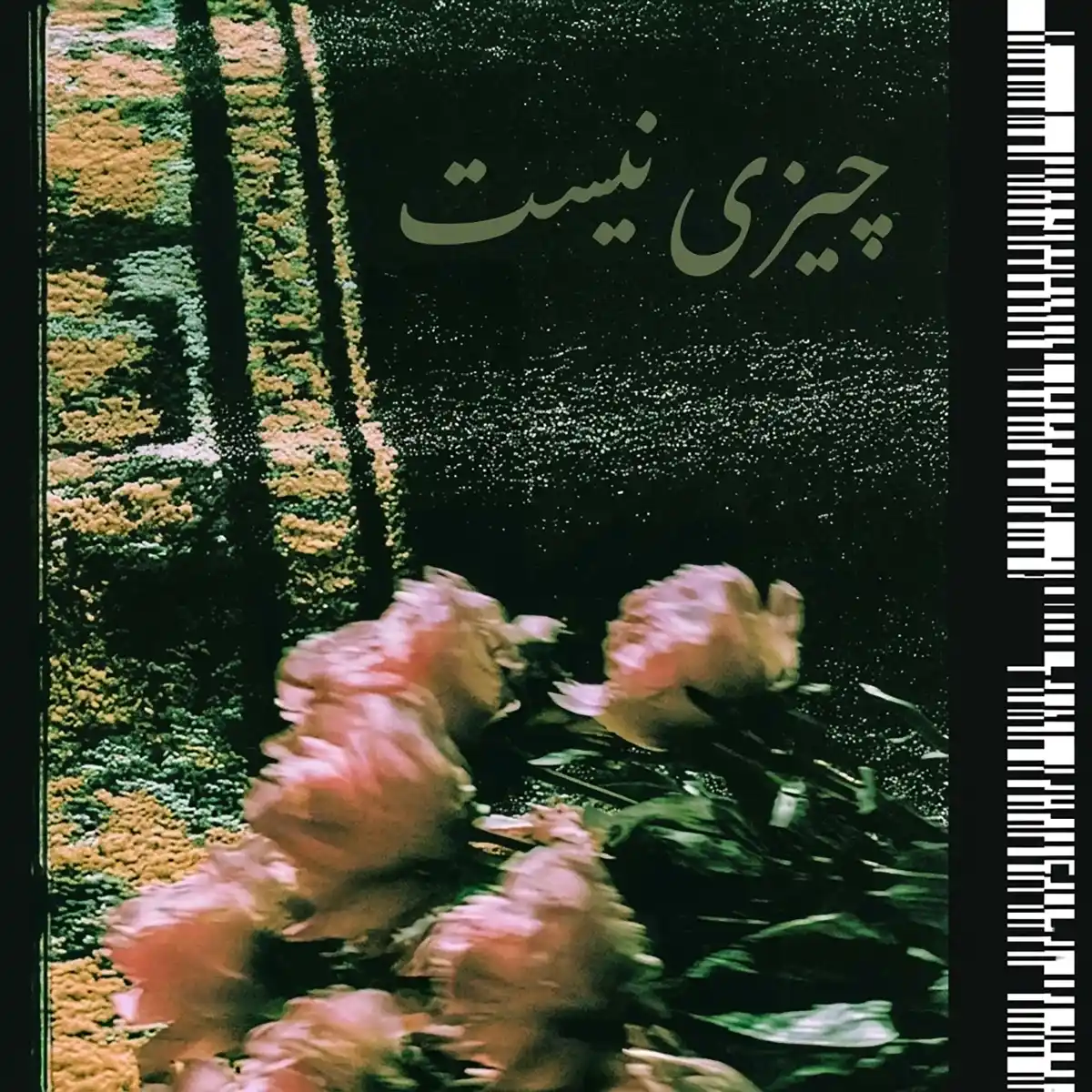 حامد دهقانی چیزی نیست