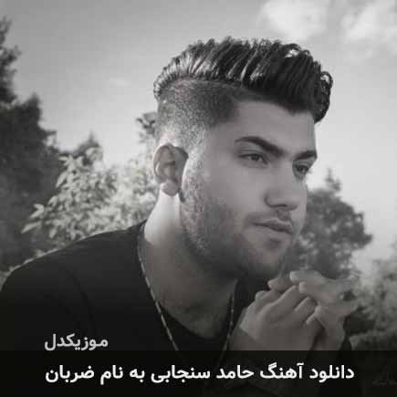 حامد سنجابی ضربان