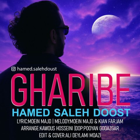 حامد صالح دوست غریبه