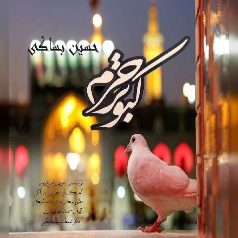 حسین بساکی کبوتر حرم
