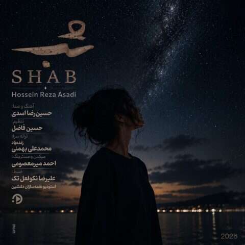 حسین رضا اسدی شب