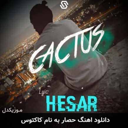 حصار کاکتوس