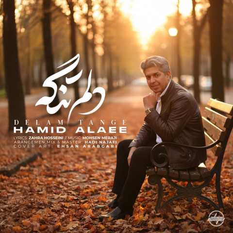 حمید علایی دلم تنگه