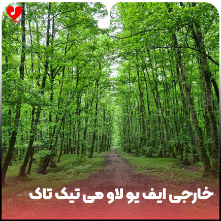 خارجی ایف یو لاو