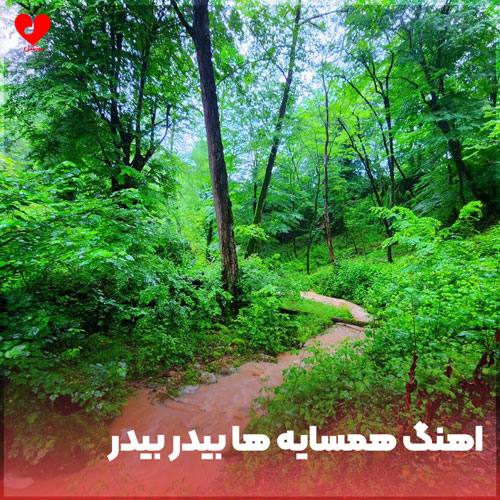 دست چپم بیدر بیدر