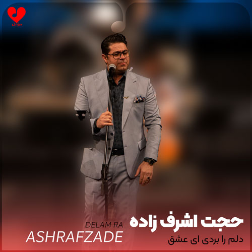 دلم را بردی ای