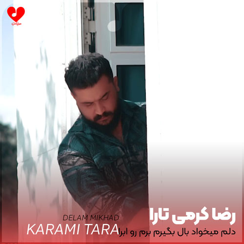 دلم میخواد بال بگیرم