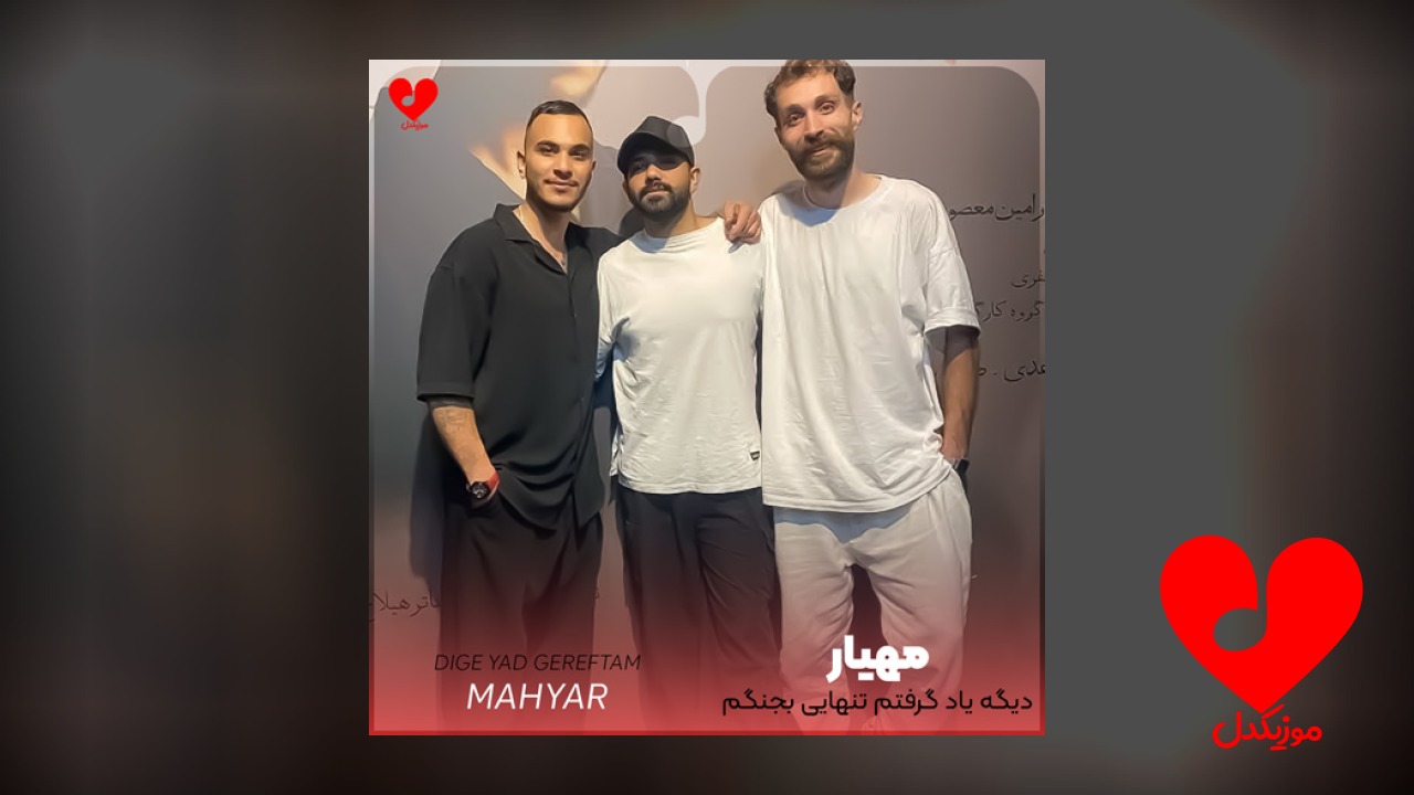دیگه یاد گرفتم تنهایی