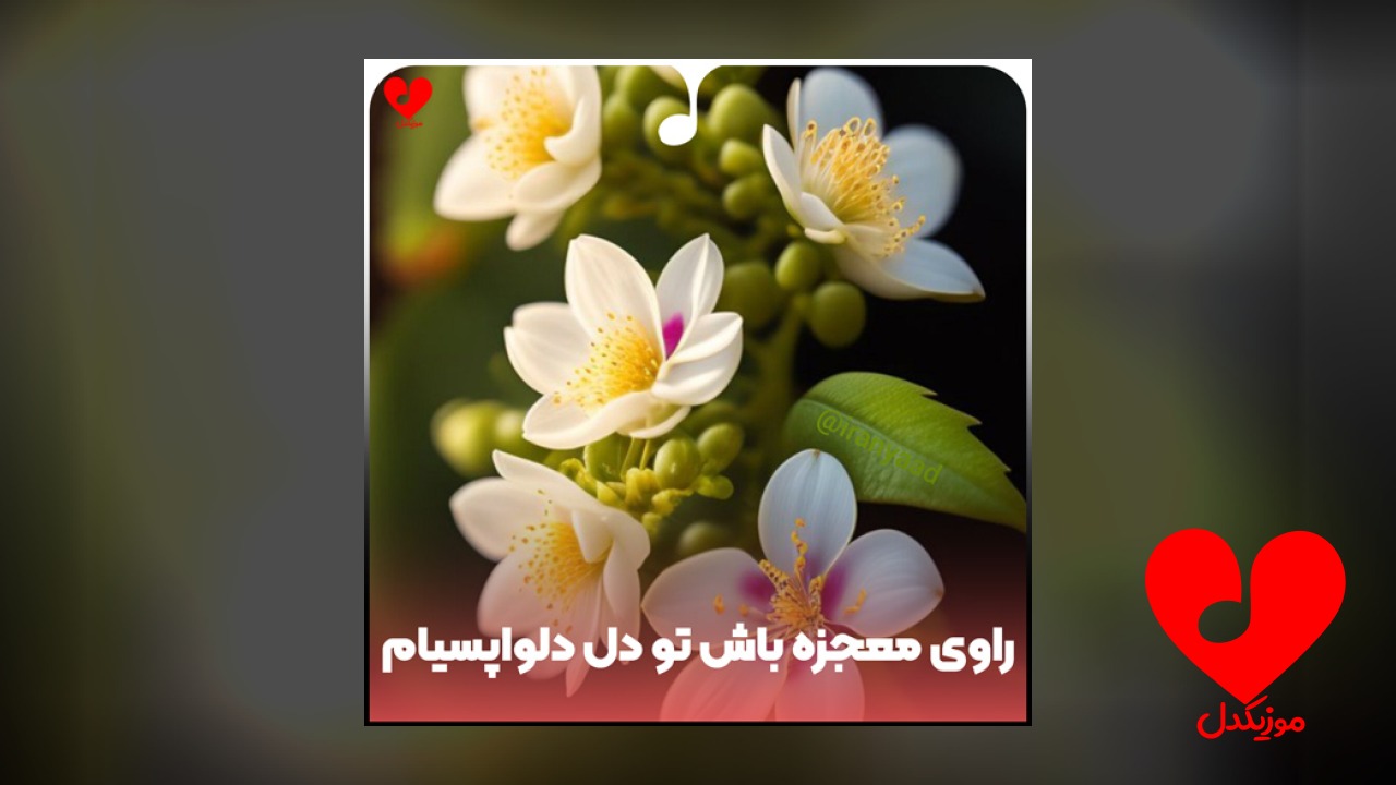راوی معجزه باش تو دل دلواپسیام