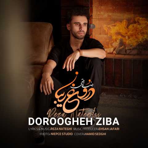 رضا ناطقی دروغ زیبا