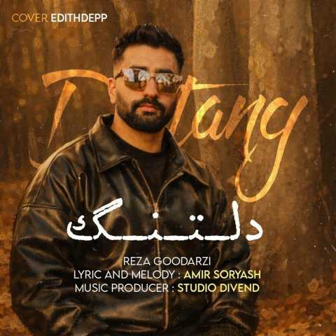 رضا گودرزی دلتنگ