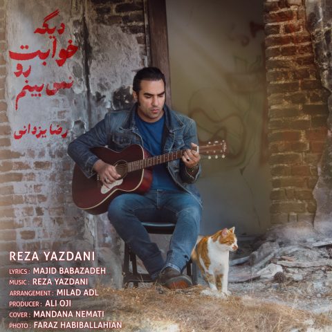 رضا یزدانی دیگه خوابت
