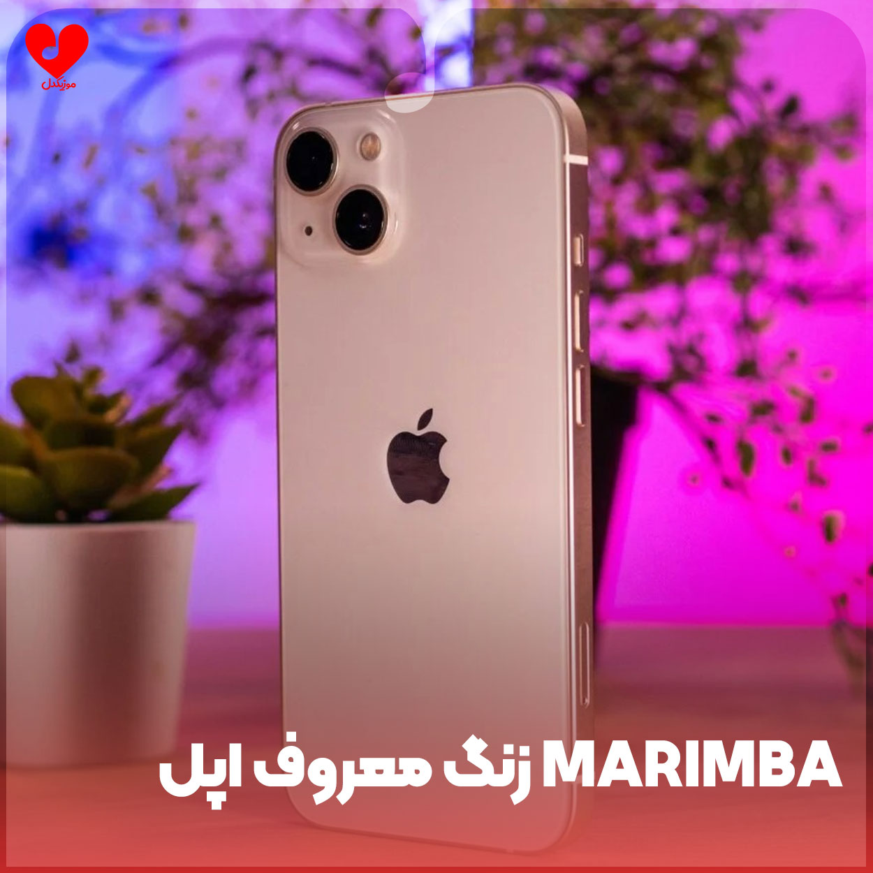 زنگ معروف اپل marimba