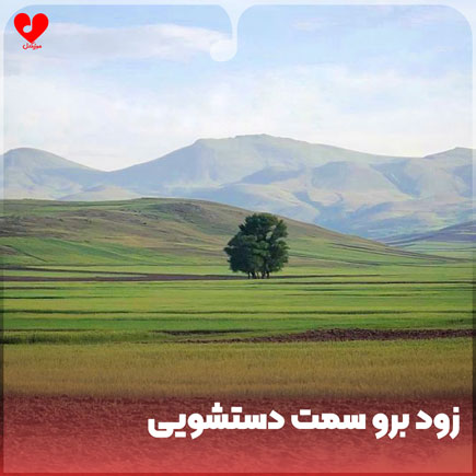 زود برو سمت دستشویی