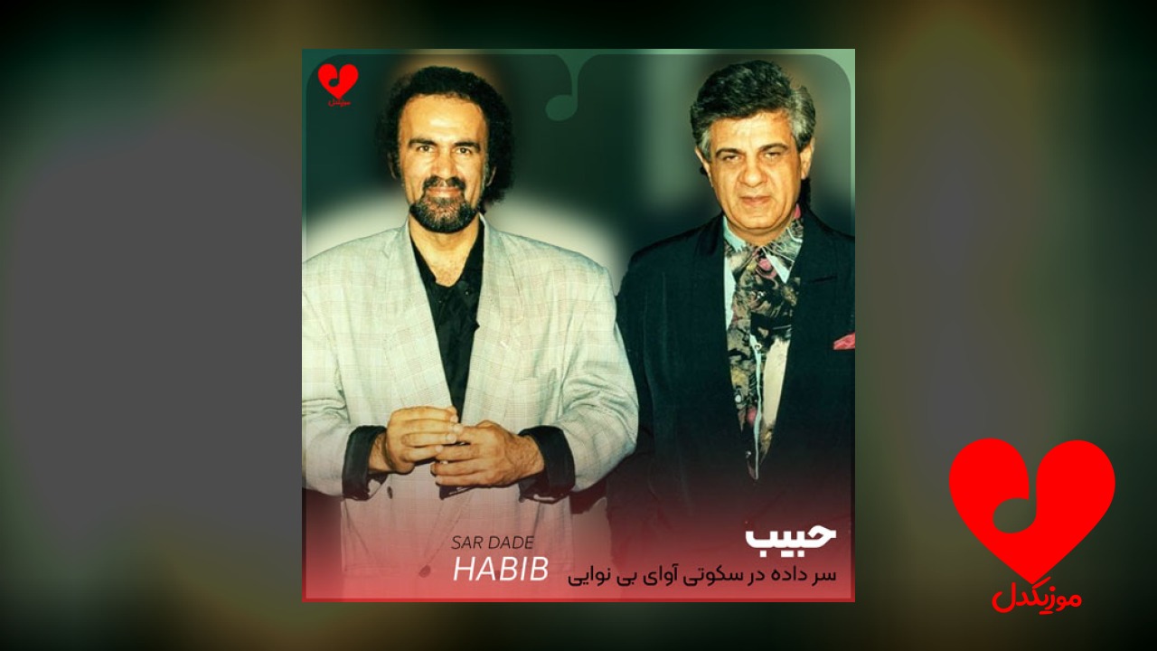 سر داده در سکوتی
