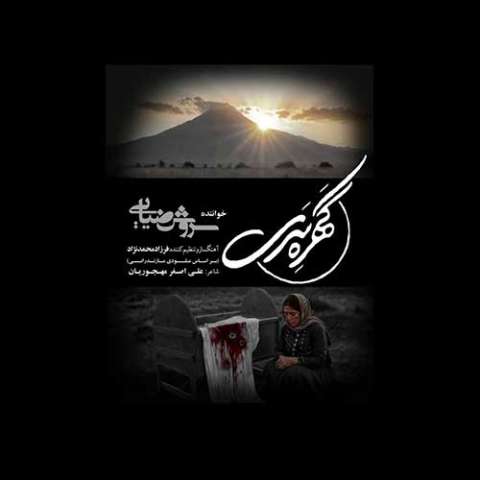 سروش ضیایی گهره سری