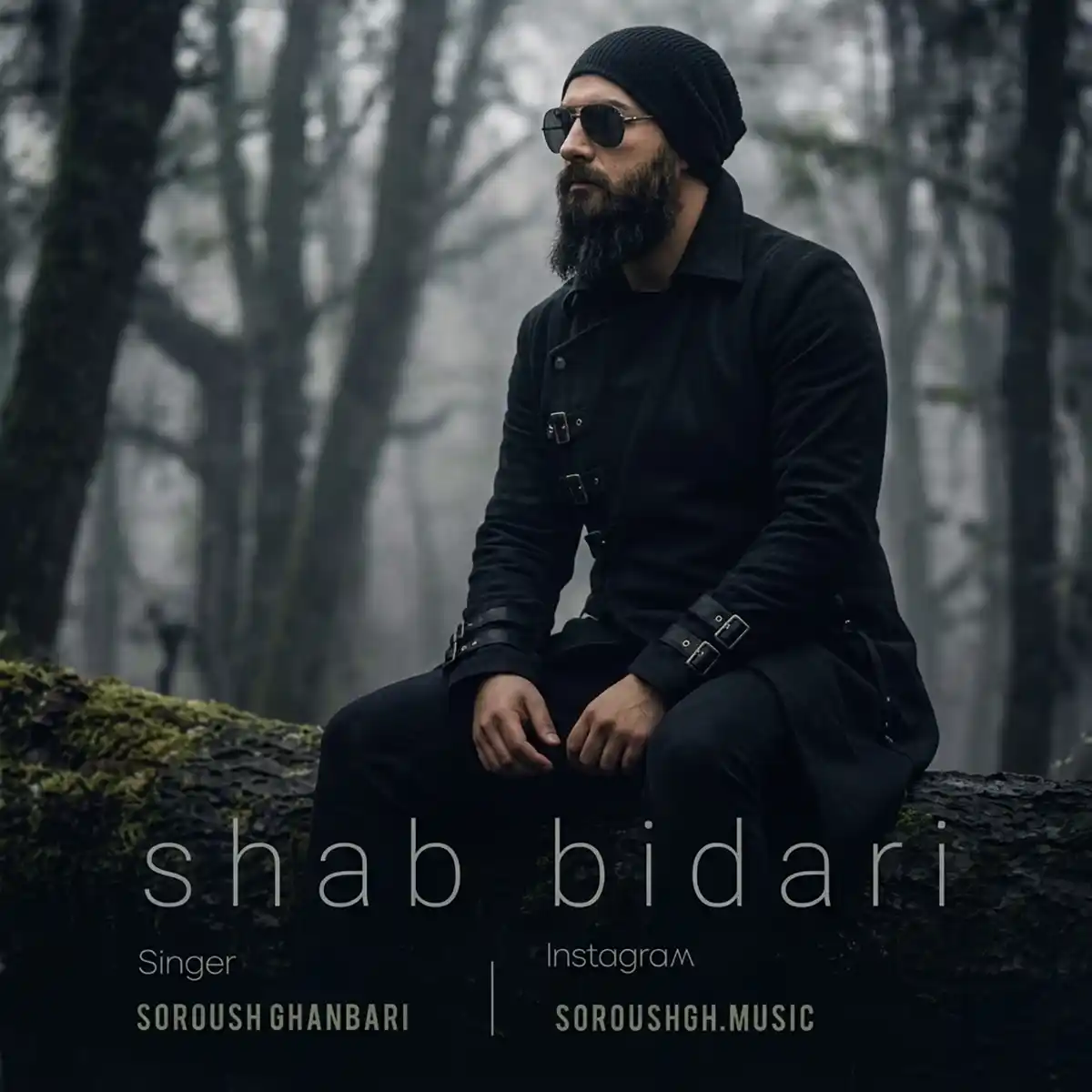 سروش قنبری شب بیداری