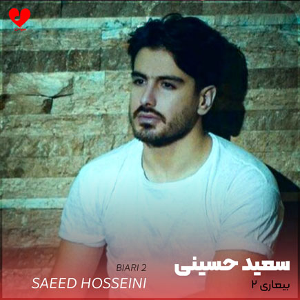 سعید حسینی بیعاری 2