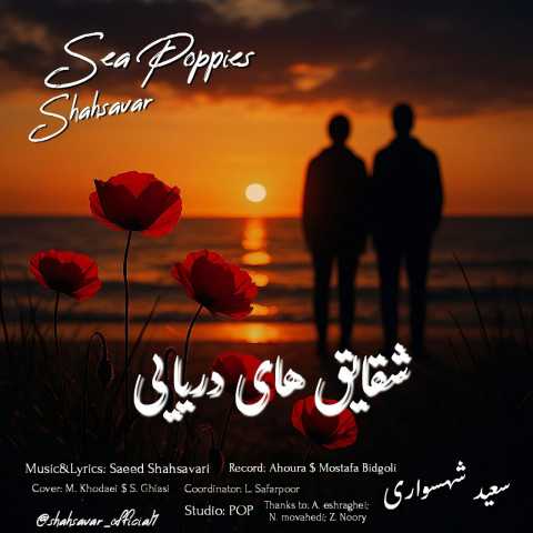 سعید شهسواری شقایق های دریایی