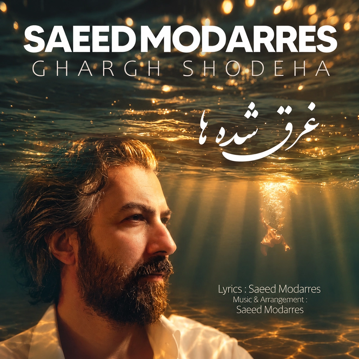 سعید مدرس غرق شده ها