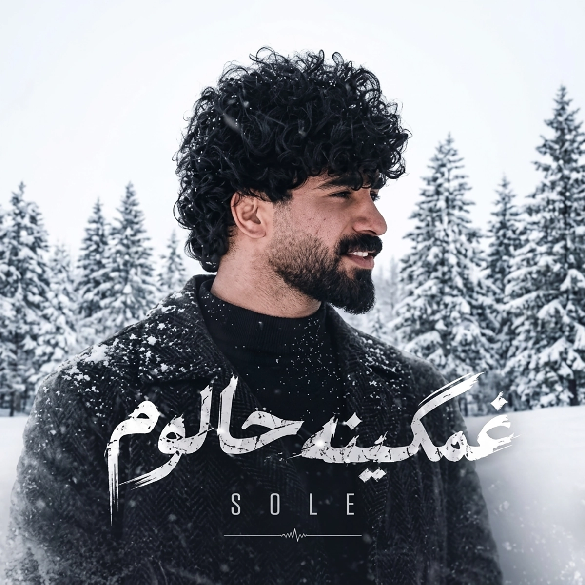 سله غمگینه حالوم