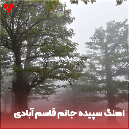 سپیده جانم قاسم آبادی با ارگ
