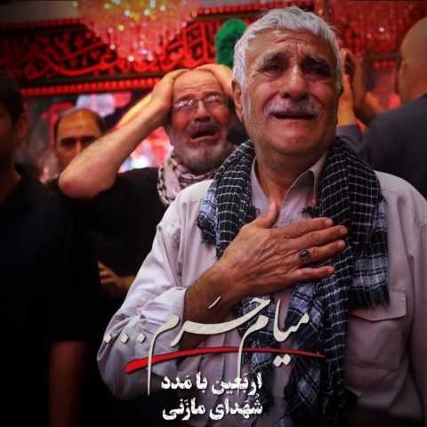 سید مهدی حمزه میام حرم