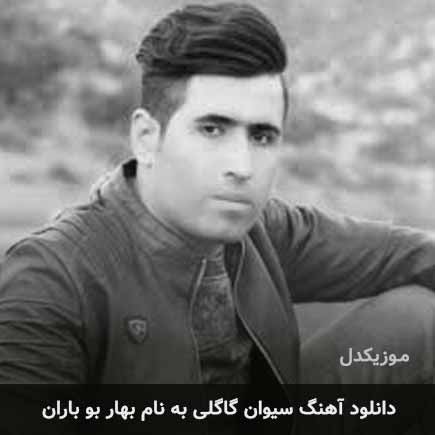 سیوان گاگلی بهار بو باران