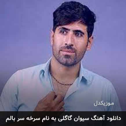 سیوان گاگلی سرخه سر بالم